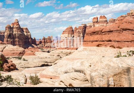 Canyon, rock needles, rock plateau, rock formations, The Needles District, Canyonlands National Park, Utah, USA Stock Photo