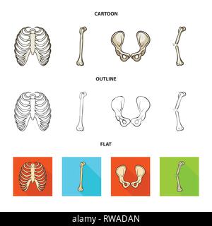 rib,hip,fracture,cage,broken,joint,pain,xray,fibula,pelvis,bias,body,shin,surgery,injury,spine,tibia,healthy,connective,sternum,femur,musculoskeletal,breastbone,leg,calcium,fiber,joints,scientific,muscle,medicine,clinic,biology,medical,bone,skeleton,anatomy,human,organs,set,vector,icon,illustration,isolated,collection,design,element,graphic,sign Vector Vectors , Stock Vector