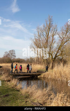 People walking beside the fens in February ,  Cambridgeshire East Anglia UK Stock Photo