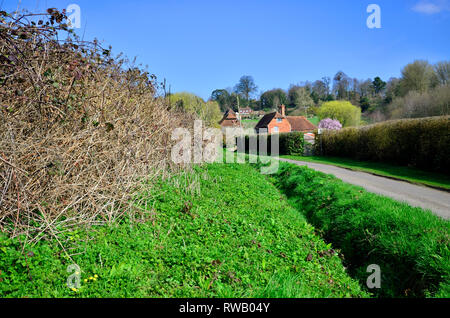 Boughton Monchelsea Village, Maidstone, Kent, UK Rural roadside with hedgerow and drainage ditch. Stock Photo