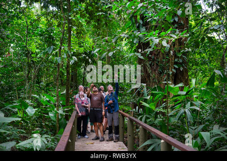 Tourists with Guide on trail in Tortuguero National Park,Costa Rica Stock Photo
