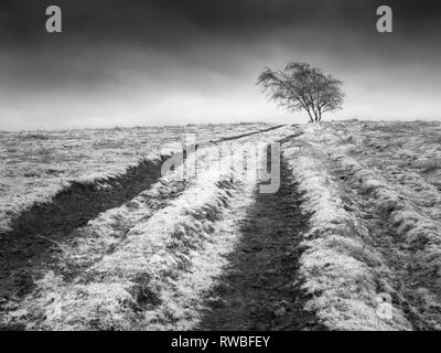 An infrared image of Black Down on the Mendip Hills in Somerset, England. Stock Photo