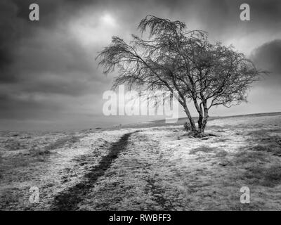 An infrared image of Black Down on the Mendip Hills in Somerset, England. Stock Photo