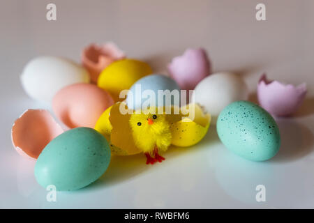 colored easter eggs with little chicks on a white surface Stock Photo