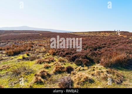 On a bright sunny day looking across Derwent Moor in the Derbyshire Peak District