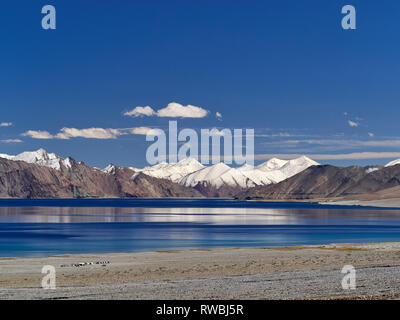 Lake Pangong, blue calm water, the mountains, blue sky, Jammu and Kashmir, India. Stock Photo