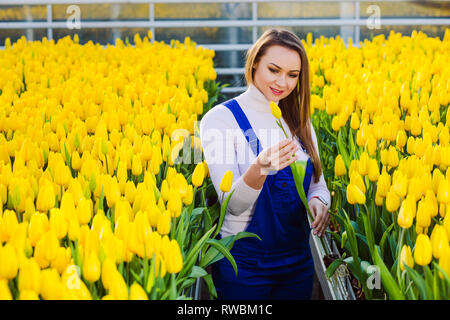 beautiful woman and a lot of yellow tulips Stock Photo
