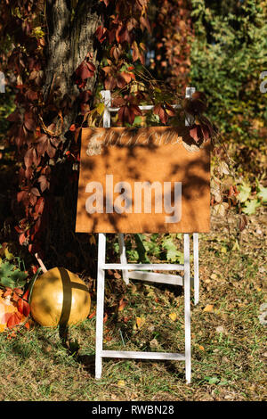 Autumn decor for a photo shoot in the forest. Stock Photo