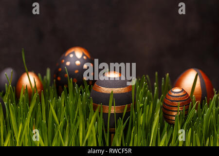 Black and gold eggs hiding in green grass over black background Stock Photo