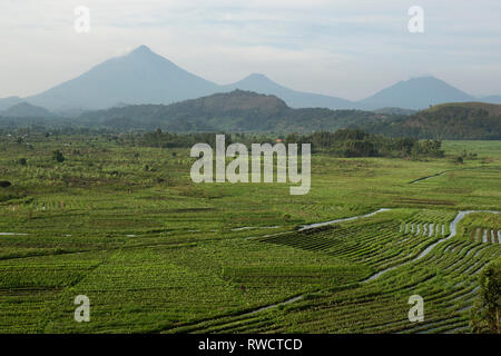 Farming in Western Uganda below the Virunga Mountains, Uganda Stock Photo