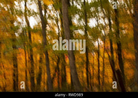Fall Foliage. Intentional Camera Movement Stock Photo