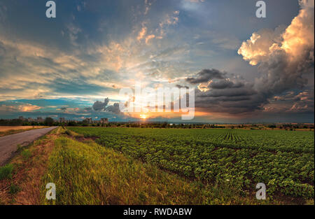 A summer cloudy sunset. A fields at the sunset. Panorama view. Ukrainian sunset. Ukrainian Landscape Stock Photo