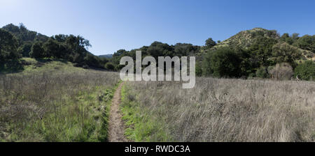 Dirt trail bends through a grass meadow in the hills of southern California. Stock Photo