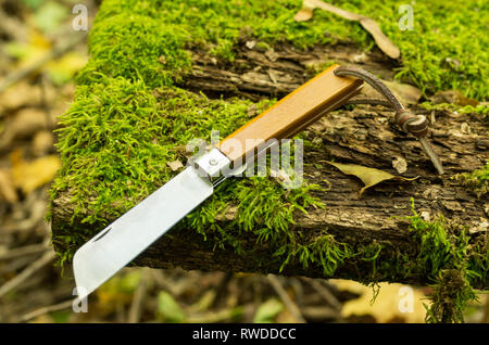 Portuguese folding knife. Pocket knife with wooden handle. Knife at an angle. Stock Photo