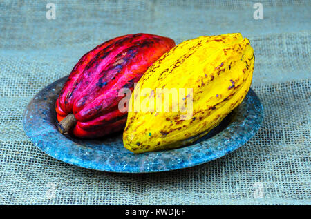 Large ripe  cacao pods on a stone plate and a natural fabric  background. Stock Photo