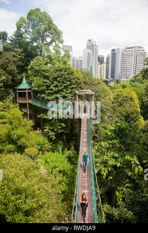 The KL Forest Eco Park Canopy Walk in Kuala Lumpur, Malaysia Stock ...