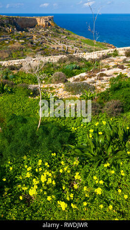 San Blas Valley, Gozo Island, Malta, Europe Stock Photo
