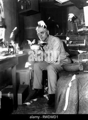 BURT LANCASTER, THE BIRDMAN OF ALCATRAZ, 1962 Stock Photo