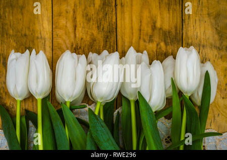 Delicate white tulips on stalks and sharp green leaves on an embroidered napkin, lie on rough boards Stock Photo