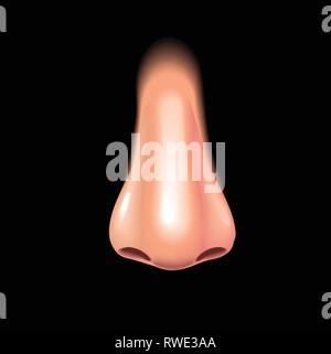 Nose isolated on black photo-realistic vector illustration Stock Vector