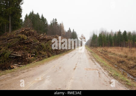 Dirt track running through forest with stacked forest clearance trees on roadside, Latvia Stock Photo