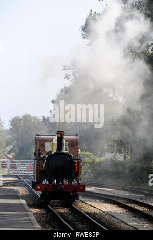 A small steam locomotive of the Isle of Man Railway, billowing out steam as it arrives at Erin rail station at Port Erin on the southwest coast of the Stock Photo