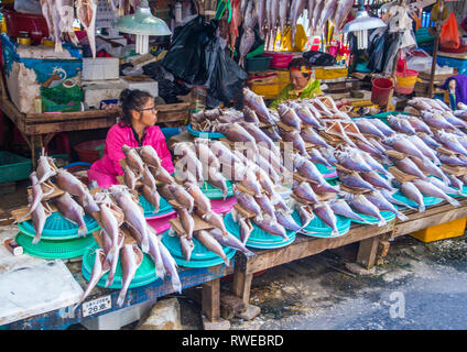 The Jagalchi Fish Market in Busan South Korea Stock Photo - Alamy