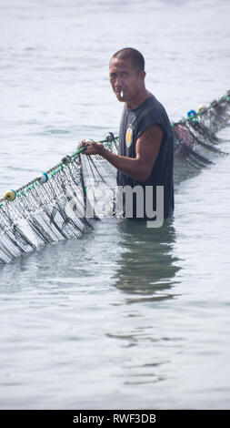 Smoking Fisherman Dragging Net From Sea - Antique, Philippines Stock Photo