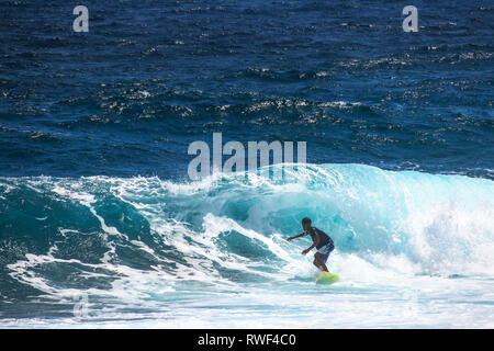 surfer 9