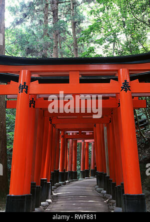 Japanese shrine entrance with red columns and black roofs background Stock Photo