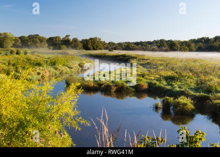 Wetland along the Grand River, early morning, nr Elora, Ontario, Canada Stock Photo