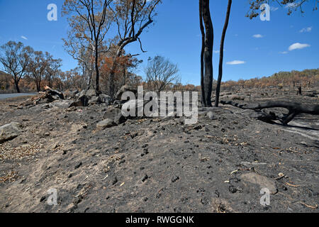 Aftermath of the 2019 bushfire in Tingha in northern new south wales, australia, just south of Inverell Stock Photo