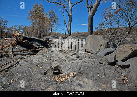 Aftermath of the 2019 bushfire in Tingha in northern new south wales, australia, just south of Inverell Stock Photo