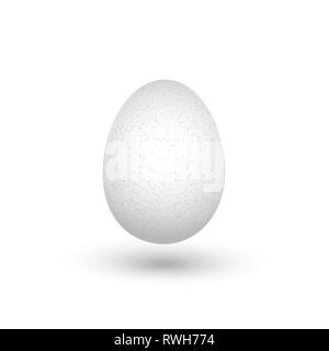 One white chicken egg with shadow isolated on white background close up on white background. Vector illustration Stock Vector