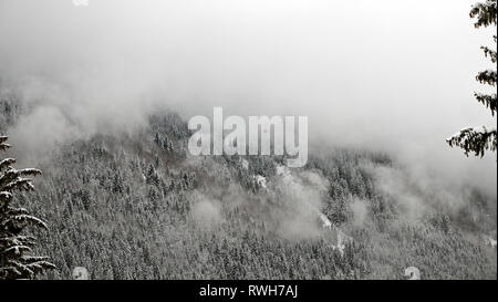 A cable car rises up the mountain in the french alpine town of Chamonix. The forests and mountains are covered in fresh snow and mist. Stock Photo