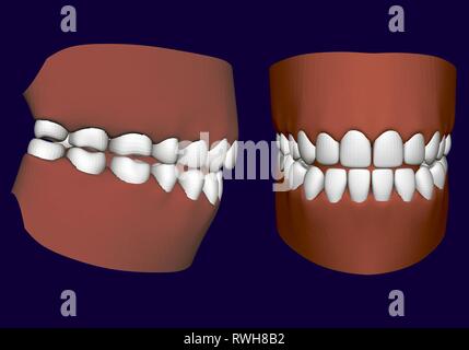 Human jaw with teeth. Side and front view. 3D. Isolated jaw on a white background. Healthy human teeth. Prosthetic teeth. Vector illustration Stock Vector