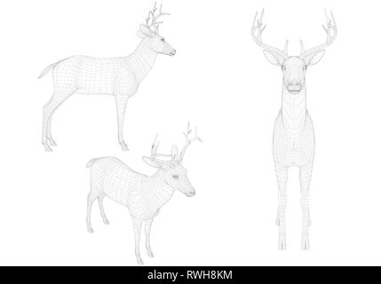 Set with wireframe deer of black lines on a white background. Side, front and isometric view. 3D. Vector illustration Stock Vector