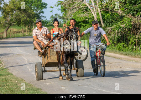 Artemisa, Cuba. 29th May, 2009. Transportation in rural countryside can often consist of a horse and cart outside Artemisa, Cuba. Stock Photo