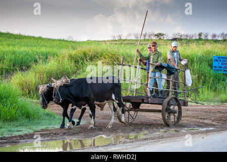 Artemisa, Cuba. 29th May, 2009. Farm labourers go to work on a plantation on cart drawn by two oxen in Armemisa, Cuba. Stock Photo