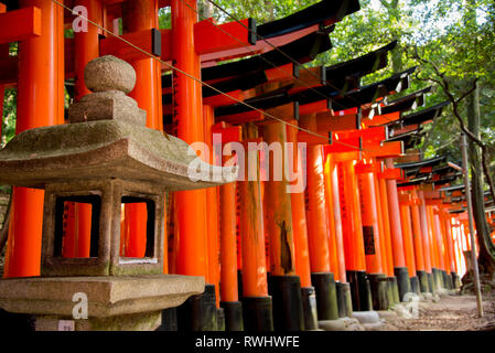 Asia, Japan, Kansai Region, Nara, Fushimi Inari Shrine Stock Photo
