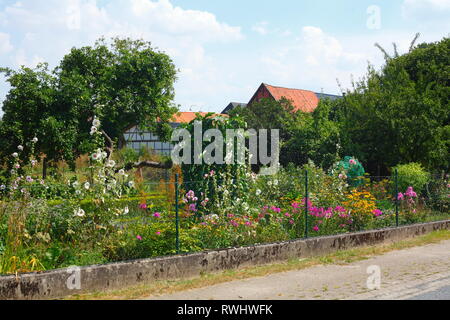 Cottage garden with summer flowers, Bruchhausen district, Bruchhausen-Vilsen, Lower Saxony, Germany, Europe Stock Photo