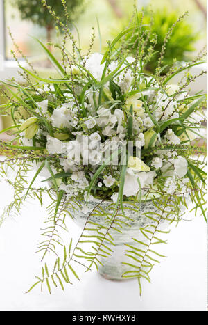 botany, filmier bouquet in knowing, Caution! For Greetingcard-Use / Postcard-Use In German Speaking Countries Certain Restrictions May Apply Stock Photo