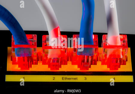 Internet connection, RJ45 plug, LAN cable, patch cable, in an Internet modem, Ethernet, Stock Photo