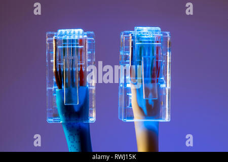 Internet connection, RJ45 plug, LAN cable, patch cable, Ethernet, Stock Photo