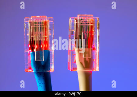 Internet connection, RJ45 plug, LAN cable, patch cable, Ethernet, Stock Photo