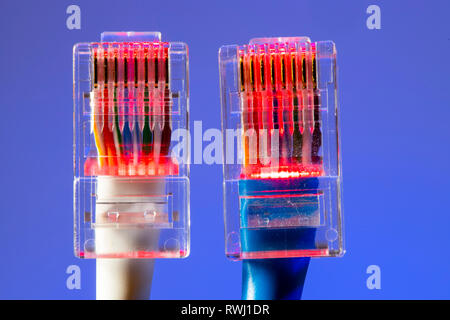 Internet connection, RJ45 plug, LAN cable, patch cable, Ethernet, Stock Photo
