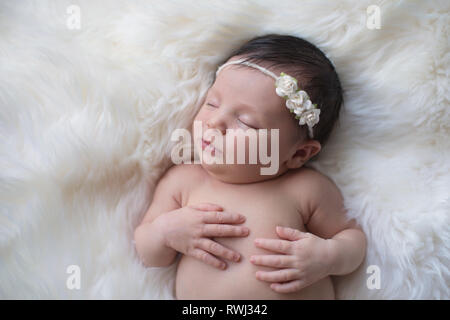Sleeping, week old newborn baby girl wearing a paper rose headband. Shot in the studio on a white sheepskin rug. Stock Photo