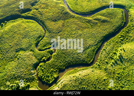 Aerial view looking straight down on a winding creek in a green field, near Millerville; Alberta, Canada Stock Photo