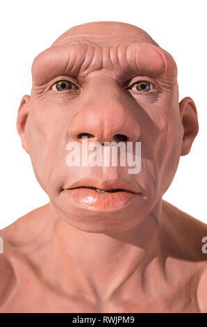 Life-sized Neanderthal bust at Montilla Local History Museum, Cordoba, Spain. Sculpted by JM Serrano. Front view Stock Photo