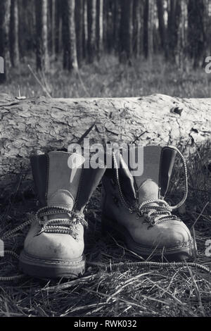 Hiking boots on clearing in pine wood at sunny evening. Black and white toned image. Stock Photo